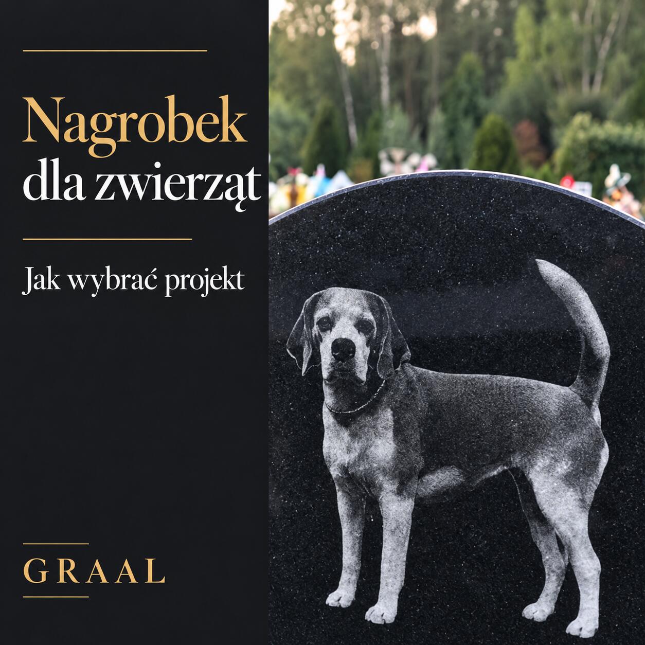 Nagrobek dla zwierząt — poradnik GRAAL z detalem tablicy i portretem psa Eleosa