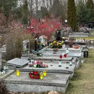 Pomnik z lastryko