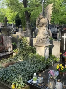 Stare nagrobki na cmentarzu z piękną figurą anioła otoczonego zielenią