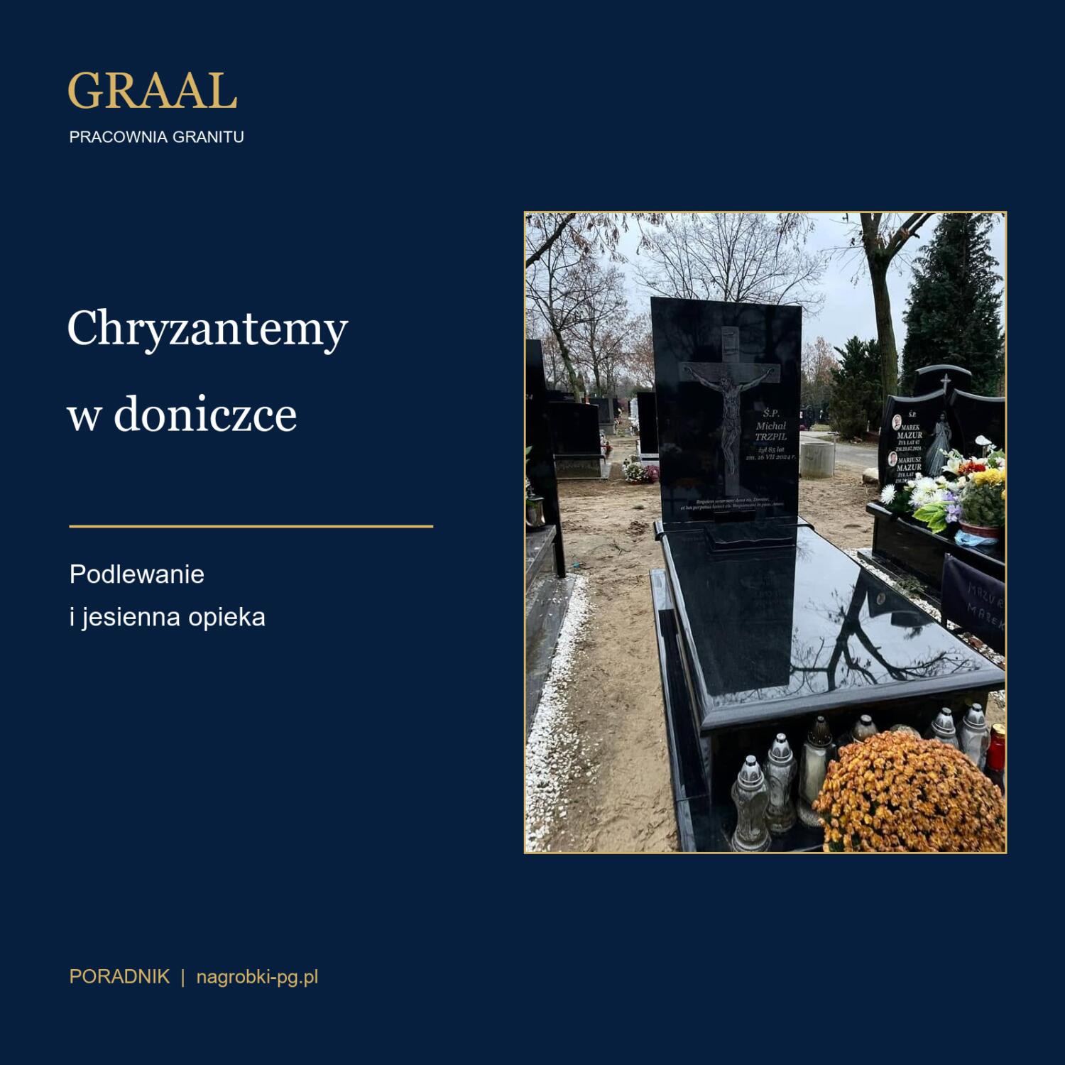 Chryzantemy w doniczce — okładka poradnika z pomarańczowymi kwiatami przy nagrobku GRAAL