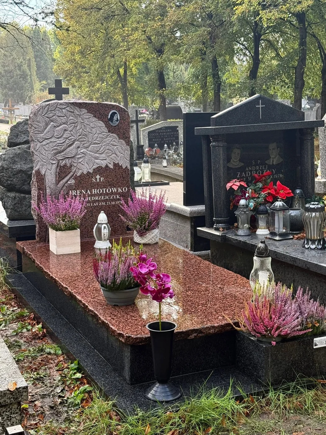 Nagrobek GRAAL z rzeźbionym drzewem i ptakami na czerwonej tablicy, widok od strony alejki