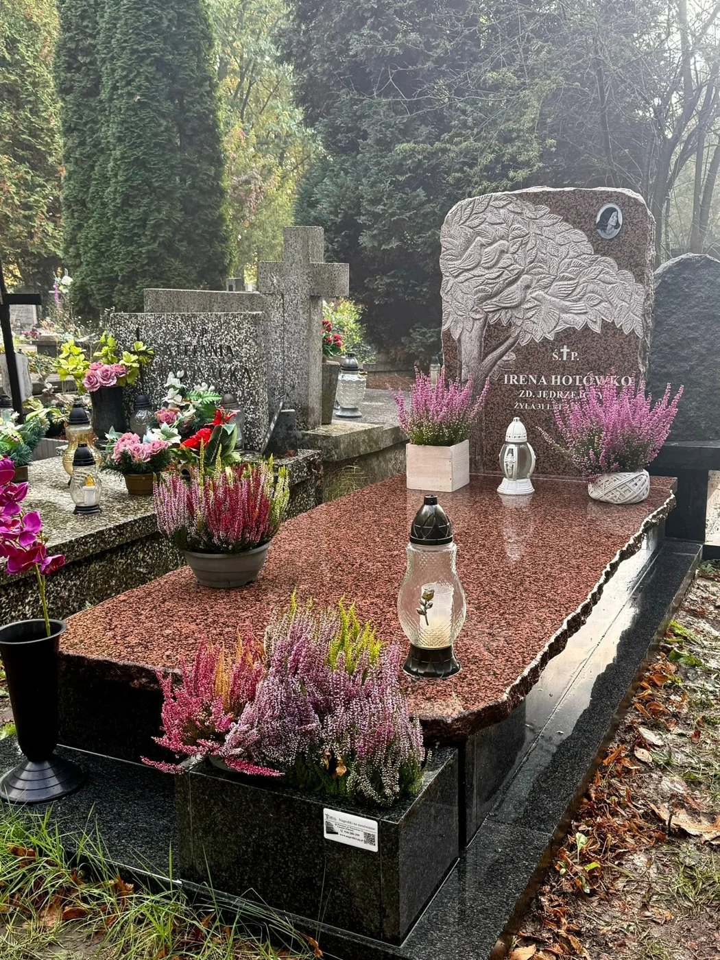 Ten sam nagrobek GRAAL z drzewem życia, portretem po prawej stronie tablicy i czerwonym polem płyty