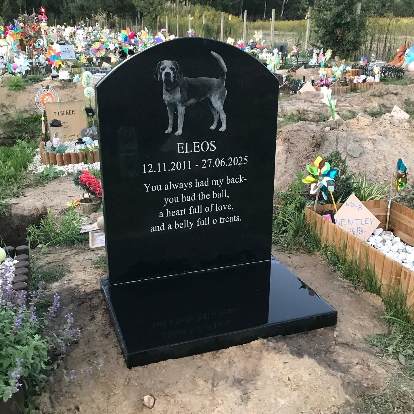 Nagrobek psa Eleosa — drugi ukośny widok tablicy z wizerunkiem pupila i dedykacją